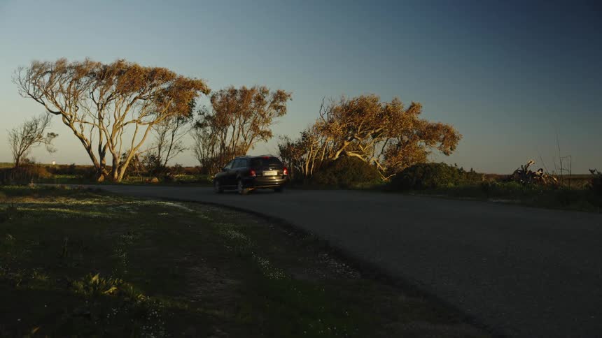 A black station wagon drives slowly along a scenic country road bordered by windswept trees at golden hour