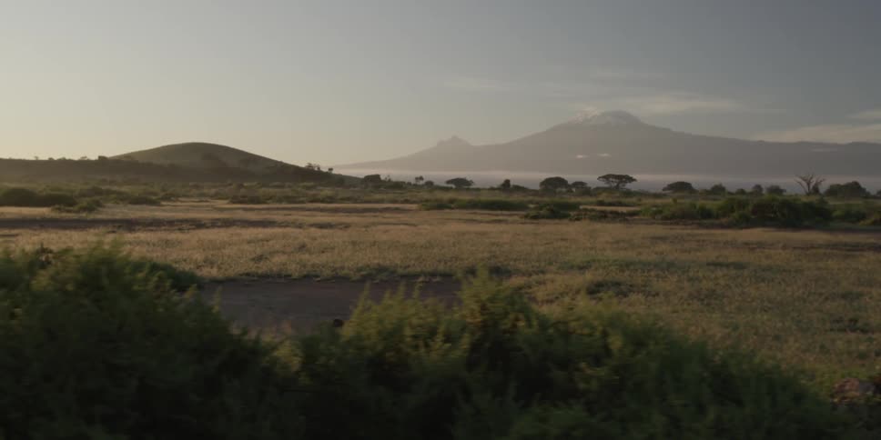 An open field in the savanna