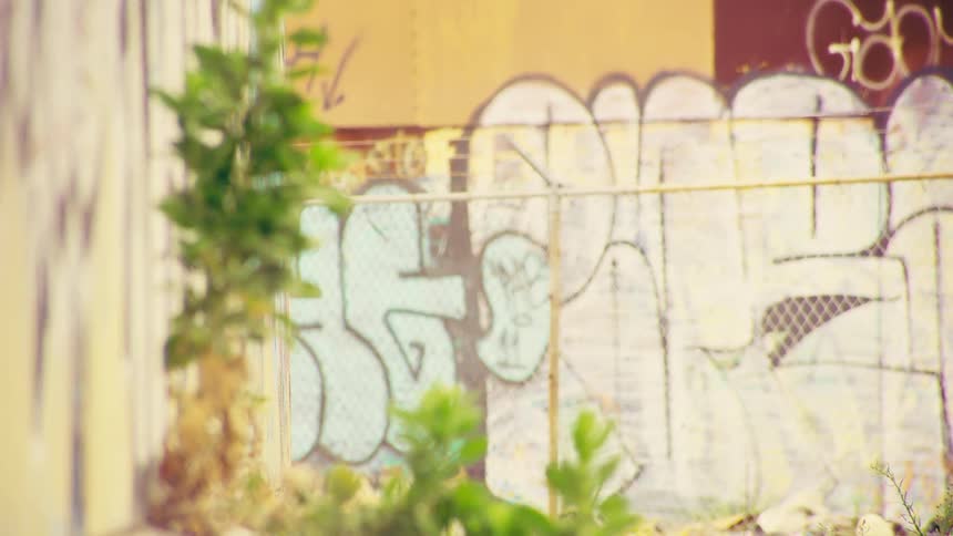 A rack focus shot moves from a green plant growing against a wall to a graffiti-covered fence in a gritty urban area