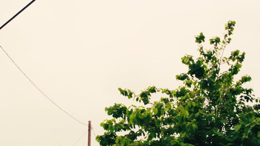 A low-angle drive-by shot looking up at street signs, power lines, and trees against an overcast urban sky