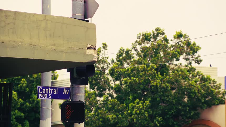 A static shot of a Central Avenue street sign below a highway overpass with traffic passing