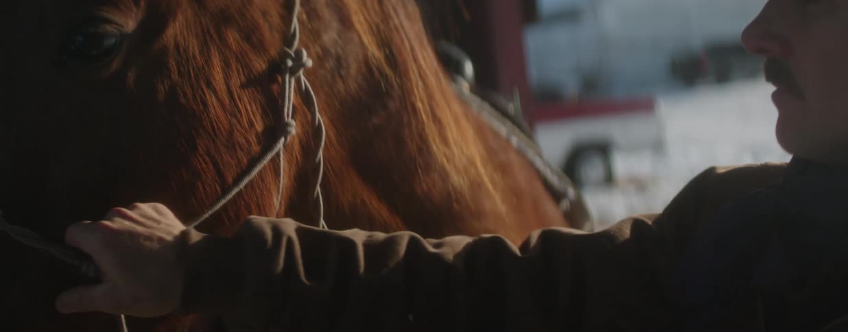 A loving hand gently caresses a brown horse's face and mane in slow motion inside a stable