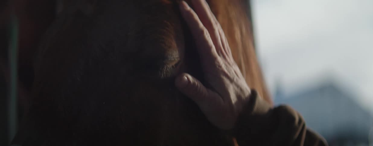 A close-up of a person's hand gently petting a brown horse's face as it slowly closes its eye