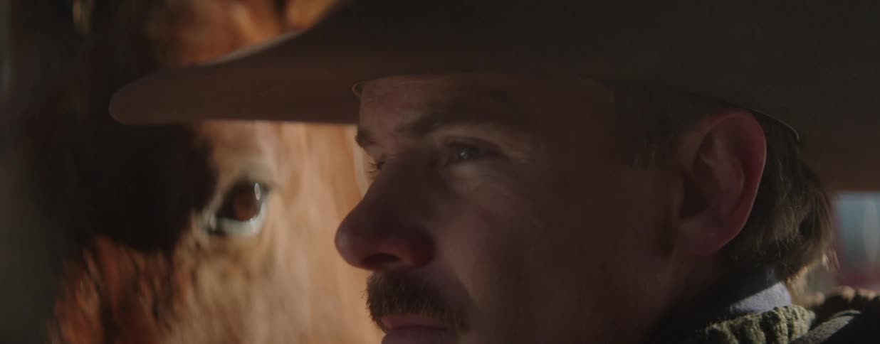A pensive cowboy shares a quiet, intimate moment with his horse inside a dimly lit stable