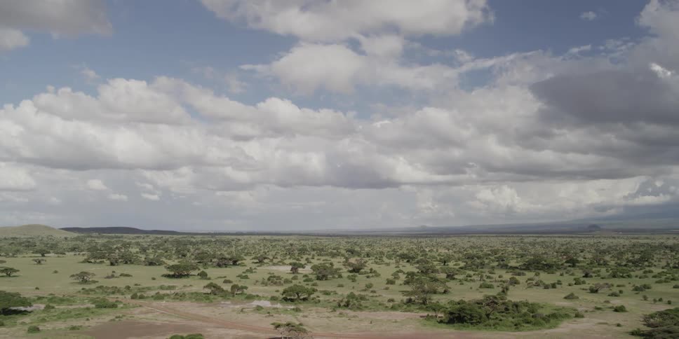 View of a tree covered field on a cloudy day