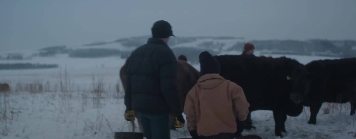 A father and his young son carry buckets to feed their herd of cattle on a cold, snowy day on the farm