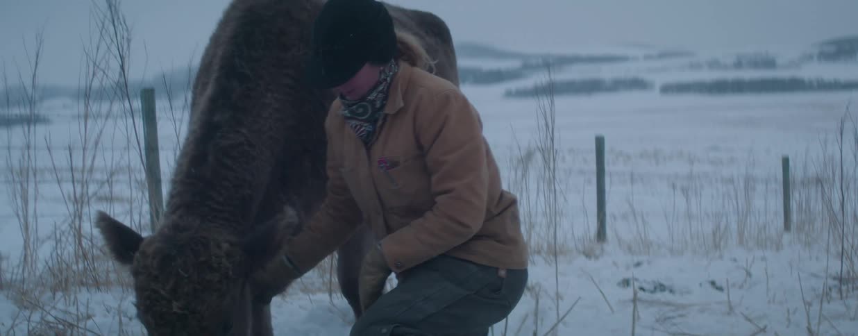 A woman kneels in a snowy field, affectionately petting and hugging a young bison calf