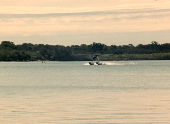 Vintage film of a seaplane landing on a calm lake near a forested shoreline