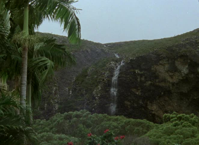 A beautiful waterfall streams down a mossy cliff face surrounded by a dense tropical forest with palm trees in the foreground