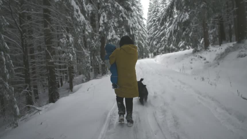 A woman in a yellow coat carries her child while walking with their dog down a snowy path through a peaceful winter forest
