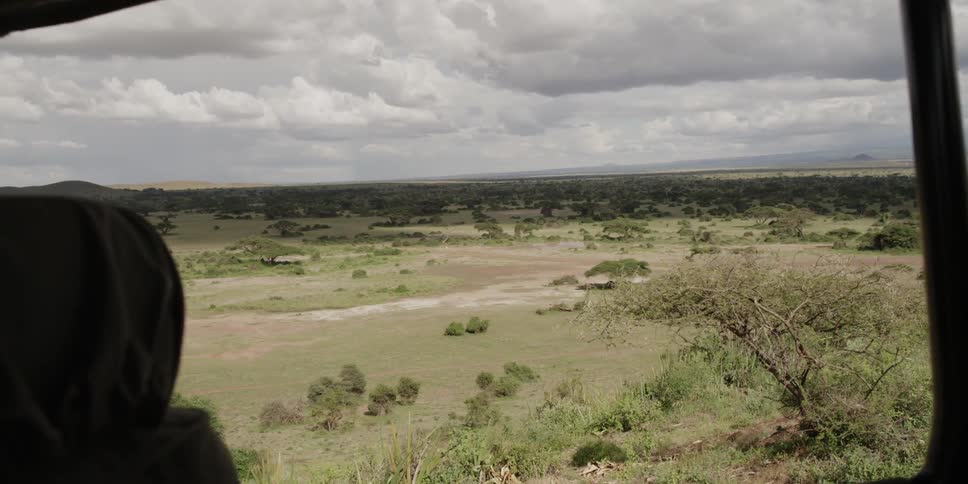 Vehicle driving through the savanna