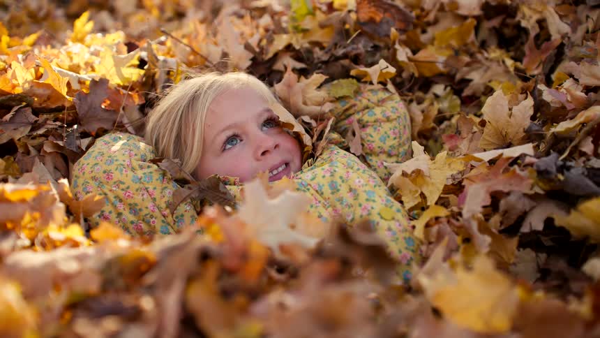 A joyous young girl with blonde hair smiles and plays while lying in a large pile of colorful autumn leaves on a sunny day