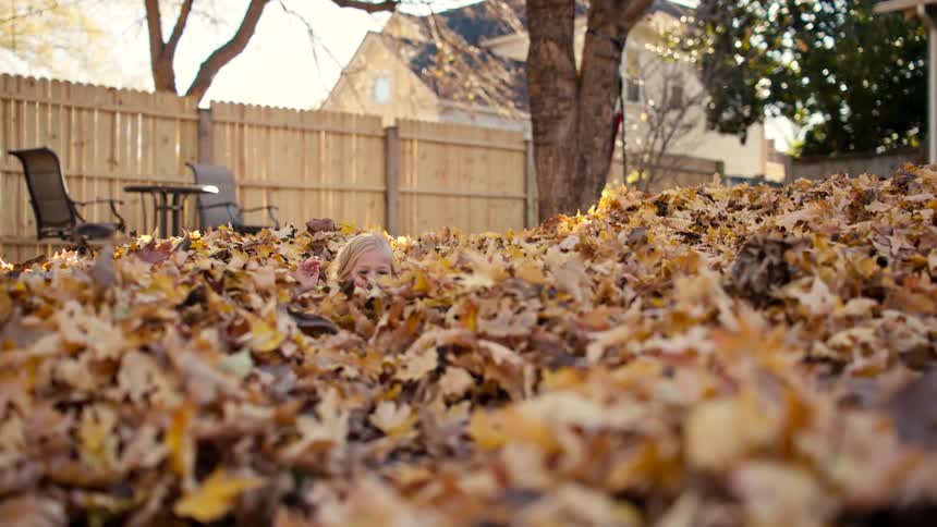 A cute little girl with blonde hair peeks out and smiles while sitting in a giant pile of fallen autumn leaves