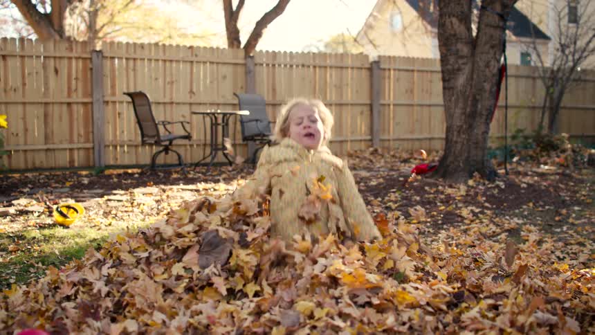 An adorable little girl gleefully runs and dives into a giant pile of autumn leaves in her backyard in slow motion