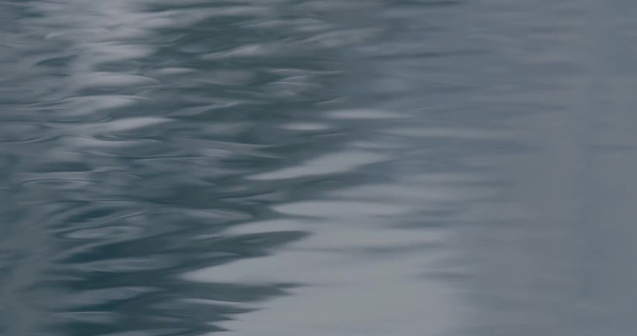 Light raindrops create gentle, slow-moving ripples on the calm, gray surface of the water