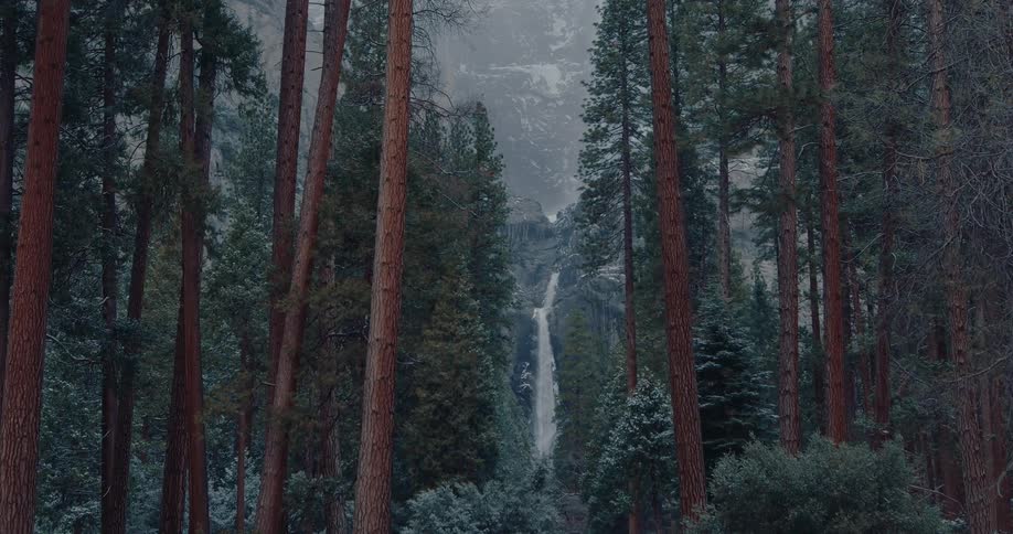 A majestic waterfall flows down a misty mountain, viewed through a serene, snow-dusted pine forest