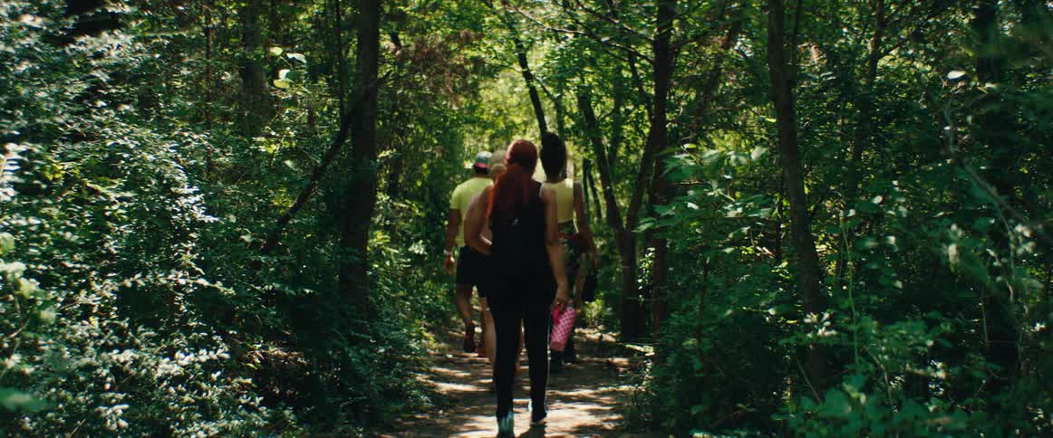 A group of diverse friends walk away from the camera down a sun-dappled trail during a hike in a lush, green forest
