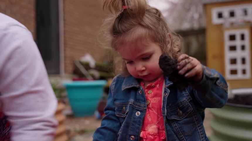 A curious toddler girl in a denim jacket gets her hands dirty while playing with soil in a backyard garden