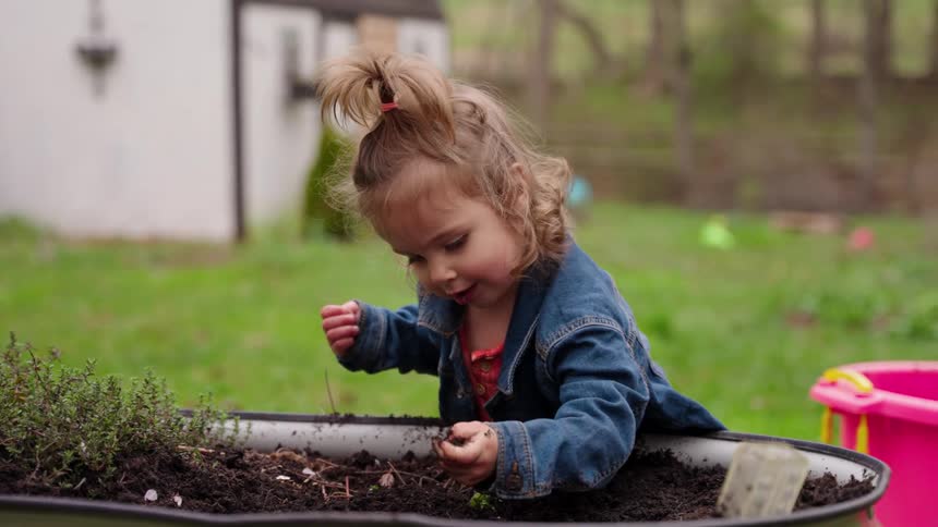 A cute toddler girl with a high ponytail plays in the dirt of a raised garden bed in slow motion as her brother runs in the background