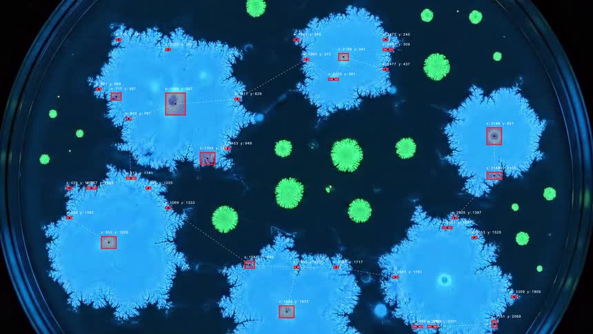 A scientific time-lapse shows glowing bacterial colonies growing in a petri dish, tracked and analyzed with a digital data overlay