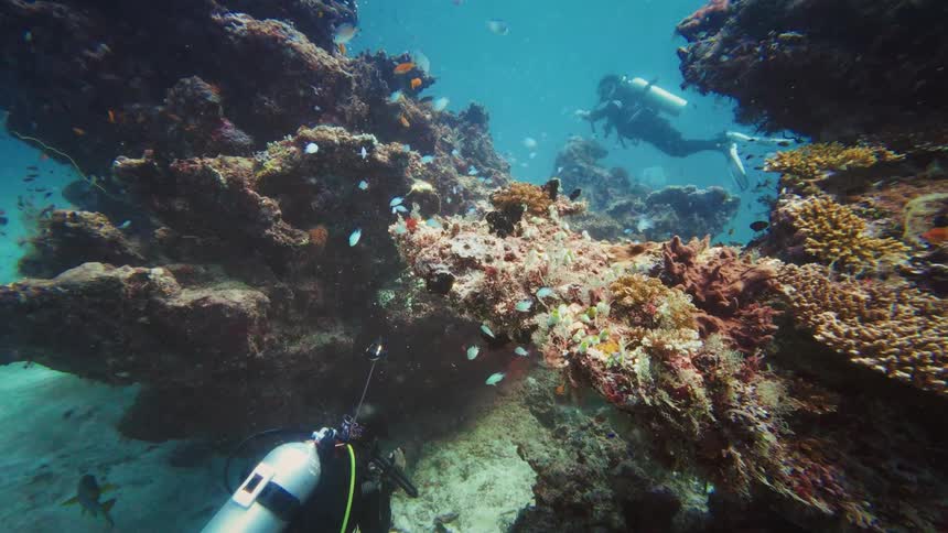 Two scuba divers explore a vibrant coral reef teeming with colorful schools of fish in the clear blue ocean