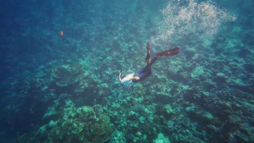 A snorkeler dives deep underwater to explore a beautiful coral reef as sunlight streams through the clear blue ocean
