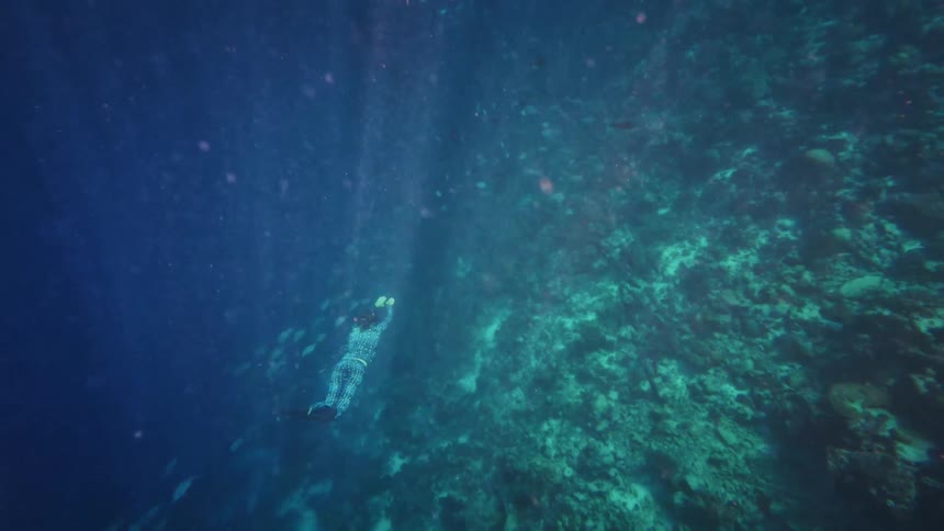 A freediver descends into the deep blue ocean, swimming alongside a massive school of fish over a vibrant coral reef before ascending