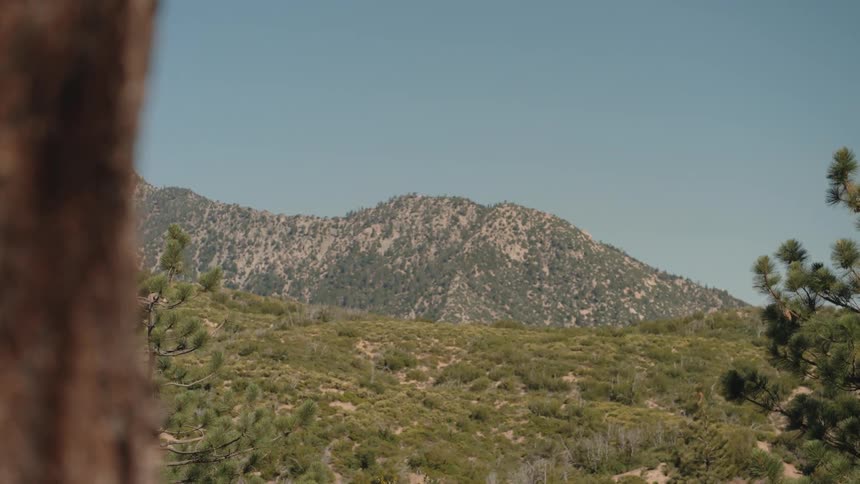 A cinematic push-in shot past a tree trunk reveals a stunning view of a forested mountain range on a clear day