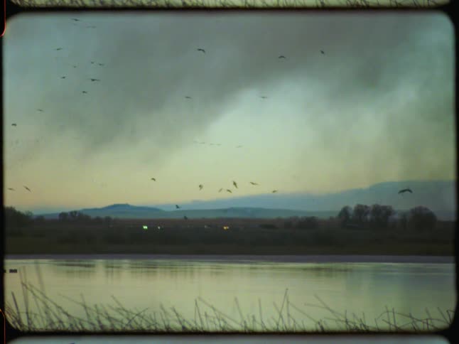 Birds fly over a tranquil lake at dusk as dark clouds gather overhead in this moody Super 8 film footage
