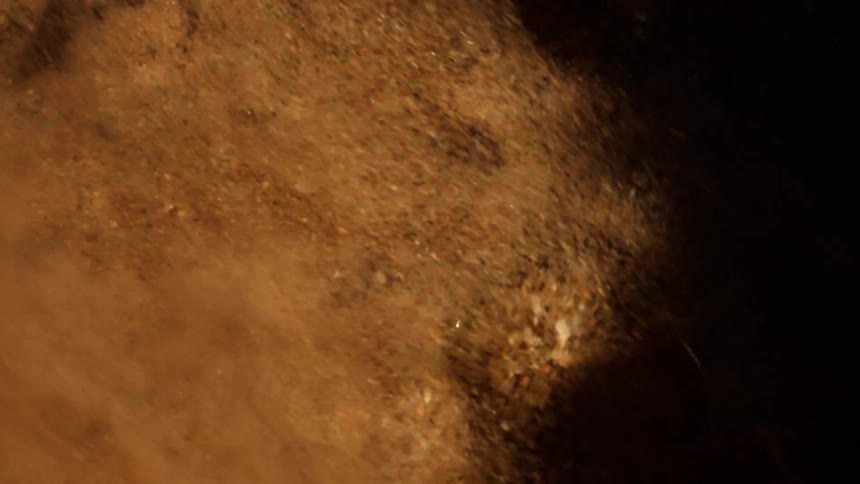 A dramatic close-up captures the rapid, continuous flow of fine golden particles, resembling dust or sand, against a dark backdrop