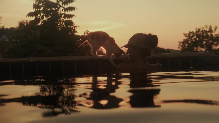 A woman in a sun hat relaxes in a swimming pool, watching a curious cat walk along the edge during a warm, golden sunset