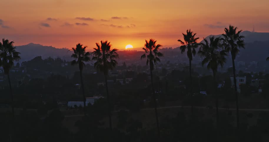 A stunning sunset paints the sky orange behind silhouetted palm trees overlooking the iconic Hollywood Hills