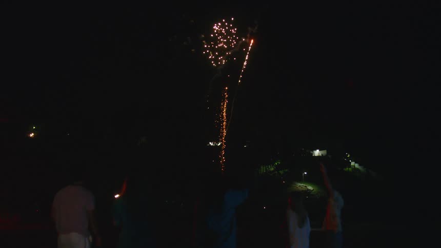 A group of friends watches a fireworks show explode against the dark night sky