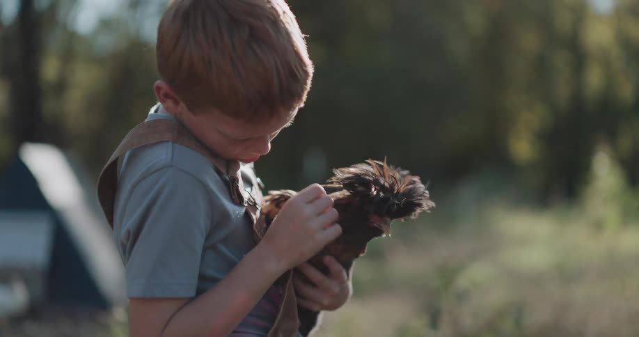 A gentle young boy with red hair lovingly holds and pets a fluffy chicken on a farm in slow motion