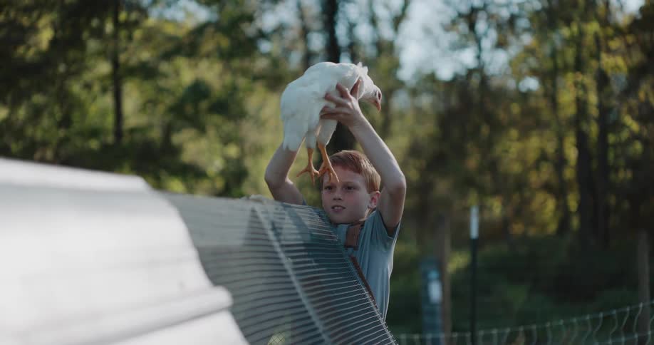A young red-headed boy in overalls playfully interacts with a white chicken, lifting it above his head before holding it in his arms