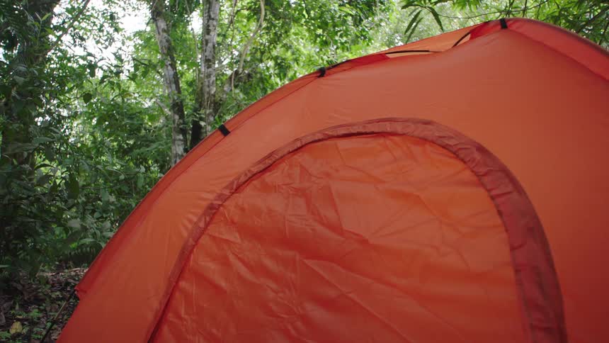 A bright orange dome tent is pitched in the middle of a dense, green tropical jungle