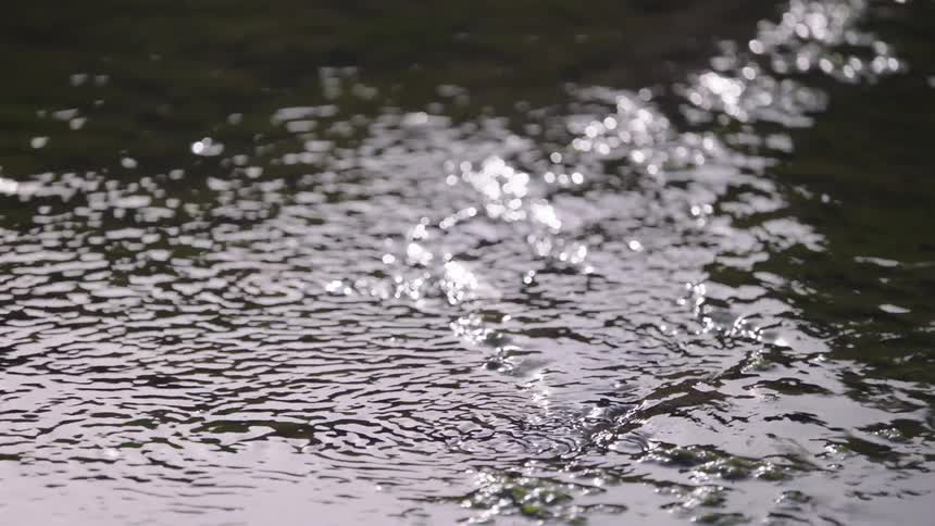 A serene slow-motion close-up of gentle water ripples and falling drops reflecting sunlight over a mossy stream bed