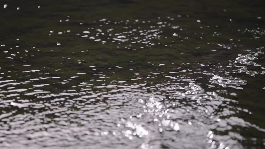 Sunlight sparkles and reflects off the gently rippling surface of a clear stream in slow motion