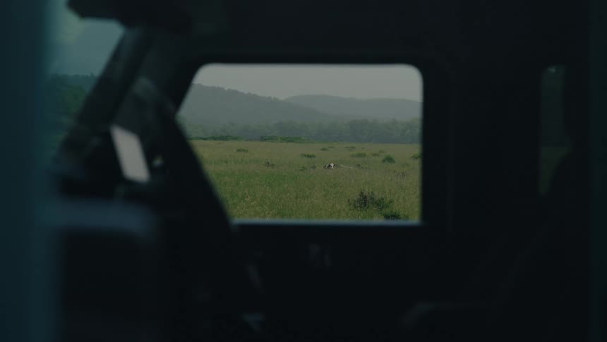 A tranquil view from inside a car reveals a lone white bird resting in a lush green meadow with hazy mountains in the distance