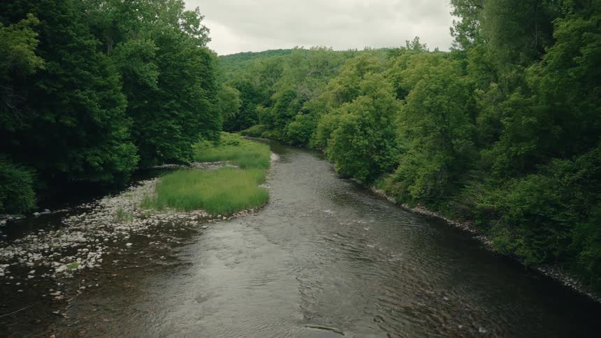 A serene river flows gently through a dense, lush green forest on an overcast day