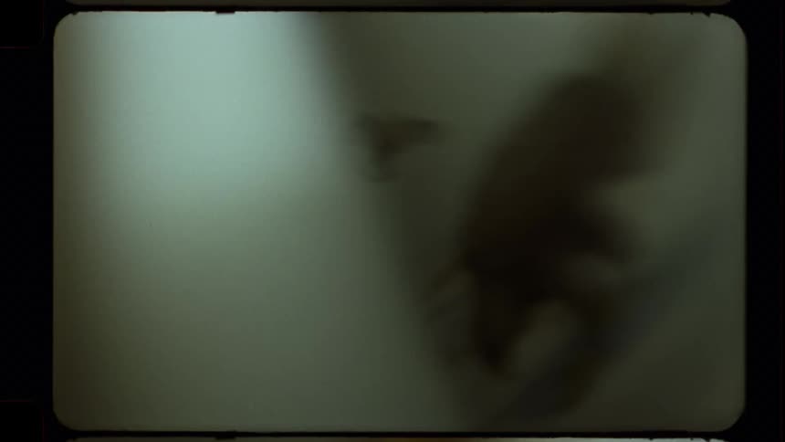 Vintage film captures the pages of an old ornithology book being turned, revealing beautiful bird illustrations