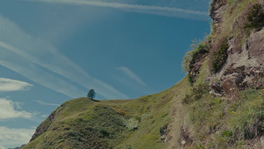 A serene mountain landscape showcases a lone tree standing on a grassy hill beneath a vast blue sky with wispy clouds