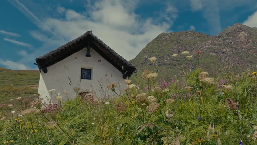 A serene view of a small mountain church surrounded by a field of wildflowers
