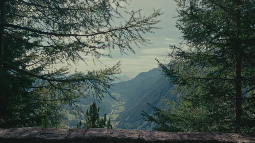 A serene view of a lush green mountain valley, framed by evergreen trees from a stone lookout