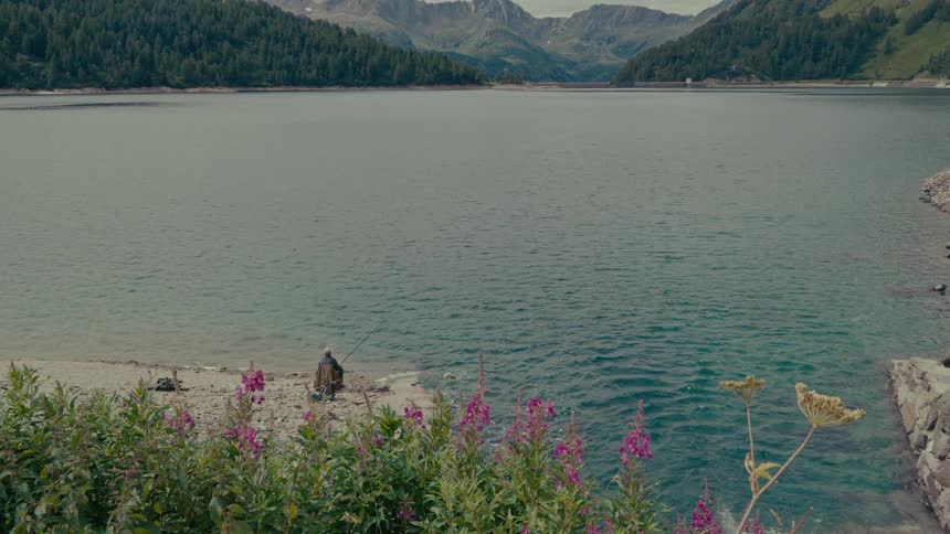 A lone fisherman sits peacefully on the shore of a vast alpine lake, with beautiful wildflowers in the foreground and forested mountains in the background