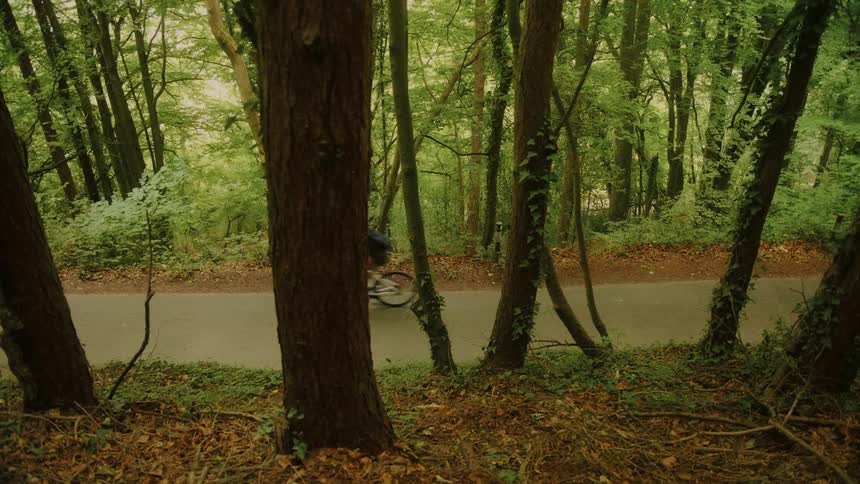 Several cyclists ride quickly along a paved road that winds through a dense, green forest