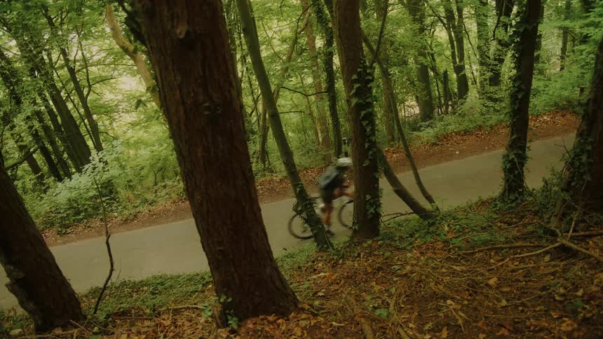 A solitary cyclist rides along a country road surrounded by dense woods, seen from above