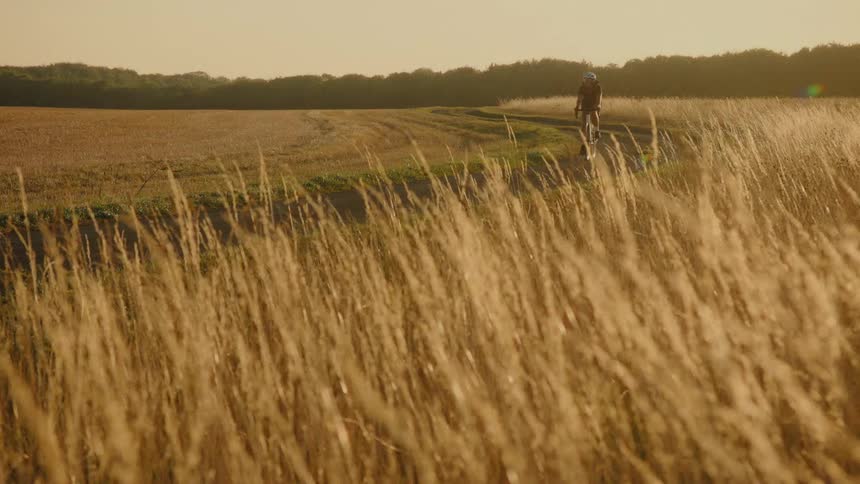 A cyclist rides a bike on a dirt path through a golden field of tall grass at sunset