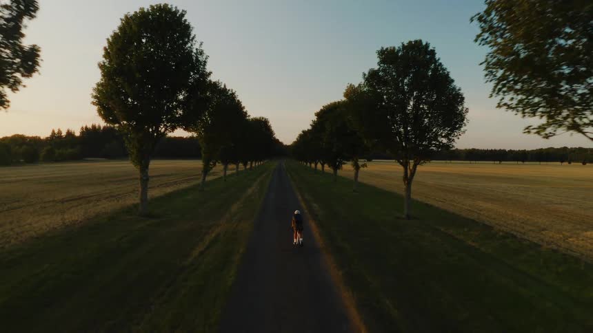 An aerial view follows a lone cyclist riding down a picturesque tree-lined country road at sunset