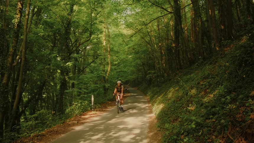 A cyclist pedals up a winding, sun-dappled road through a lush, vibrant green forest